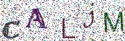 Obr&aacute;zkov&eacute; CAPTCHA