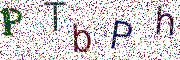 Obr&aacute;zkov&aacute; CAPTCHA